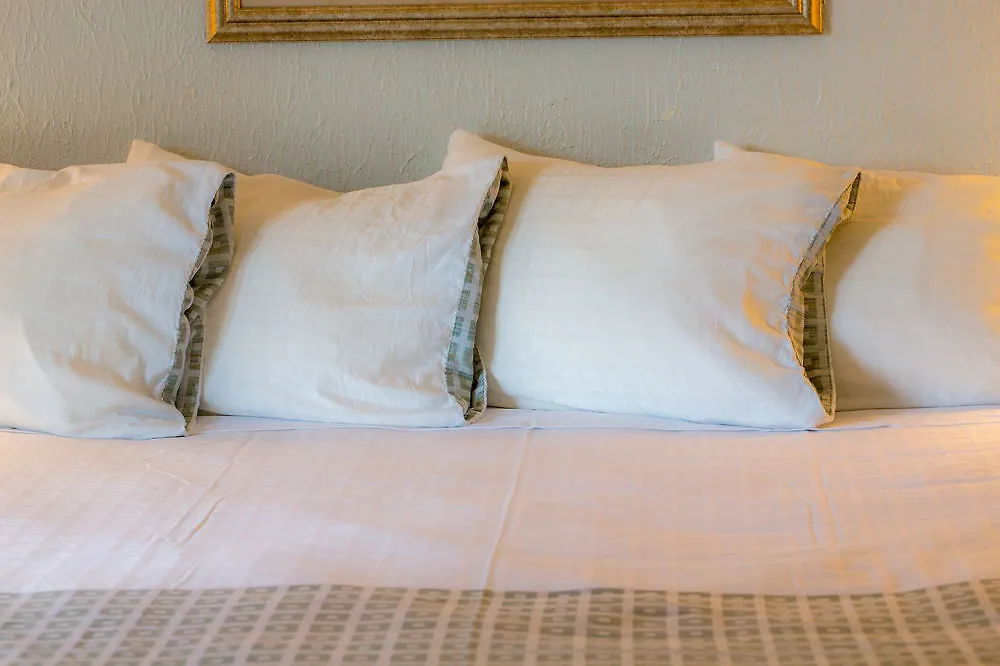 Comfort Inn Savannah