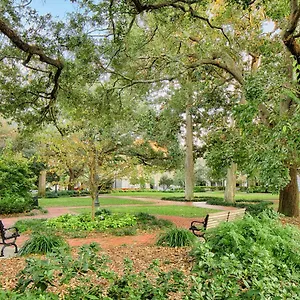 View On Broughton Savannah